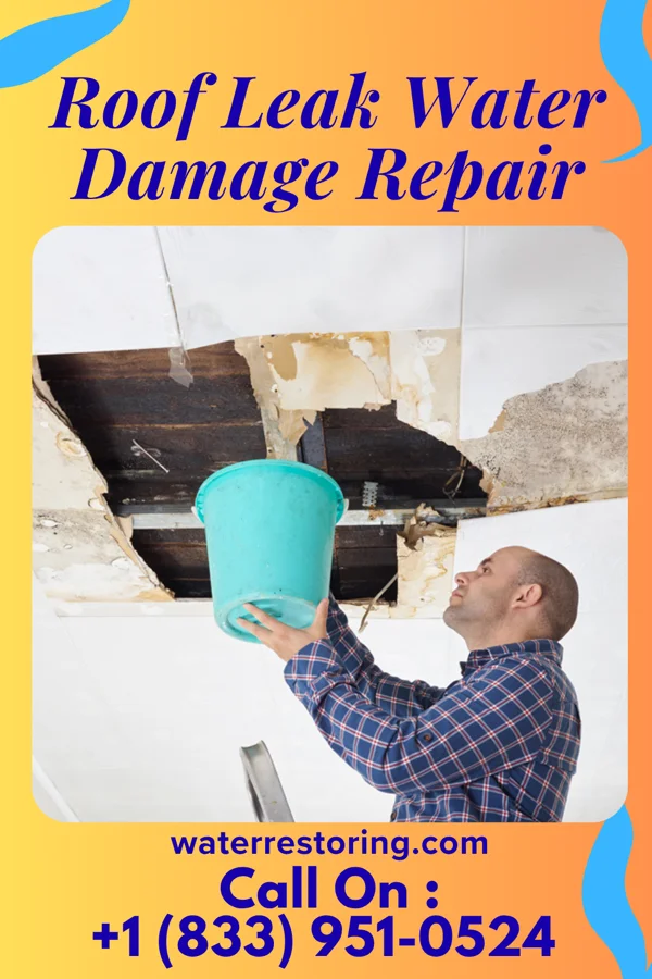 Roof Leak Water Damage Repair in Midway, MN